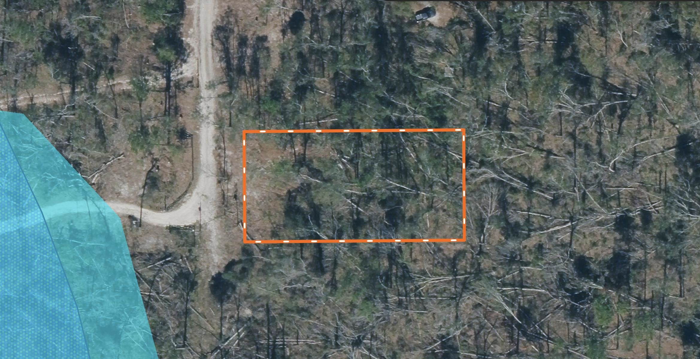 Xxx 237th Road Live Oak, FL 32060 - Photo 4 of 8