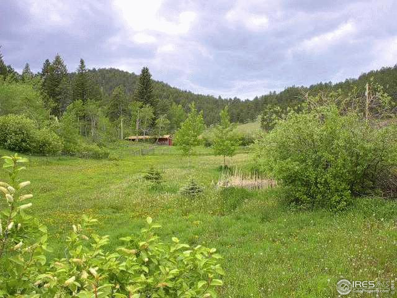13857 Rist Canyon Road Bellvue, CO 80512 - Photo 5 of 6 Gallery Image 5