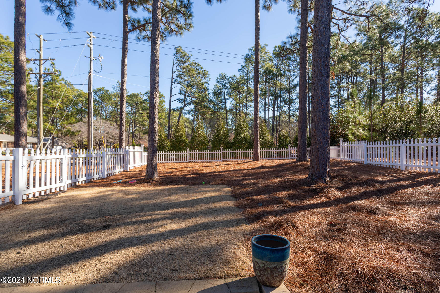 325 Pinehurst Trace Drive Pinehurst, NC 28374 - Photo 30 of 33 backyard