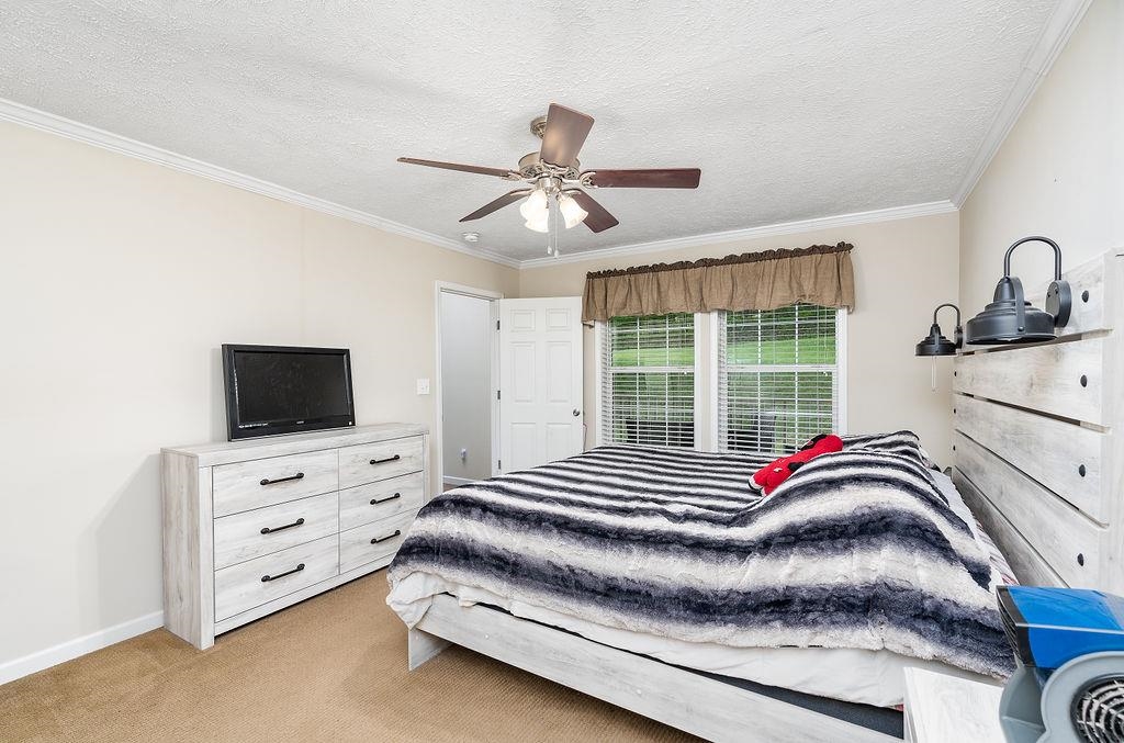 653 Dices Spring Road Weyers Cave, VA 24486 - Photo 45 of 62 Gallery Image 45