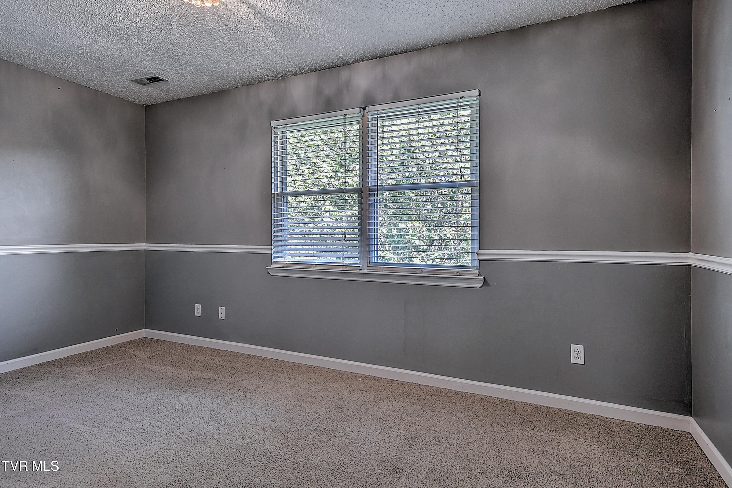 107 Springview Drive Gray, TN 37615 - Photo 30 of 44 AD058BF3-BB5F-45C2-8D06-F5D30AD45043
