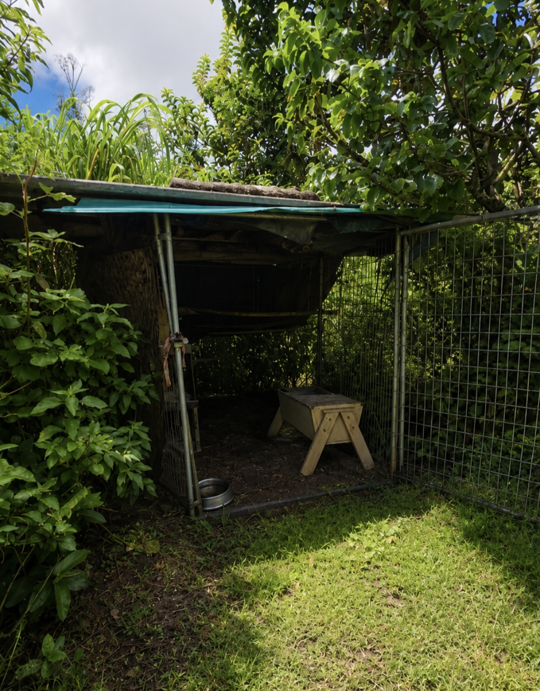 16-1272 Hopue Road Mountain View, HI 96771 - Photo 22 of 23 Gallery Image 22