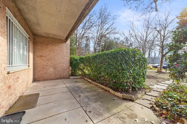 a view of a garden with plants