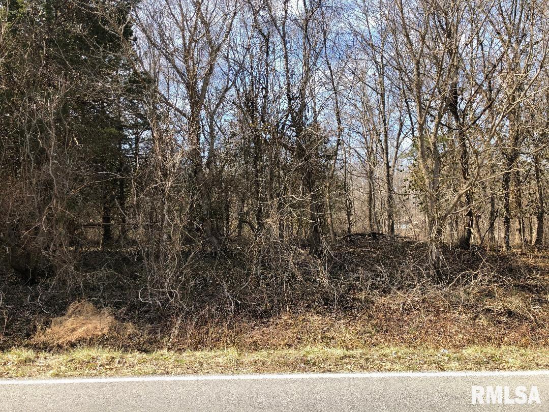 Tbd Tbd Grassy Road Carbondale, IL 62902 - Photo 3 of 3 Gallery Image 3
