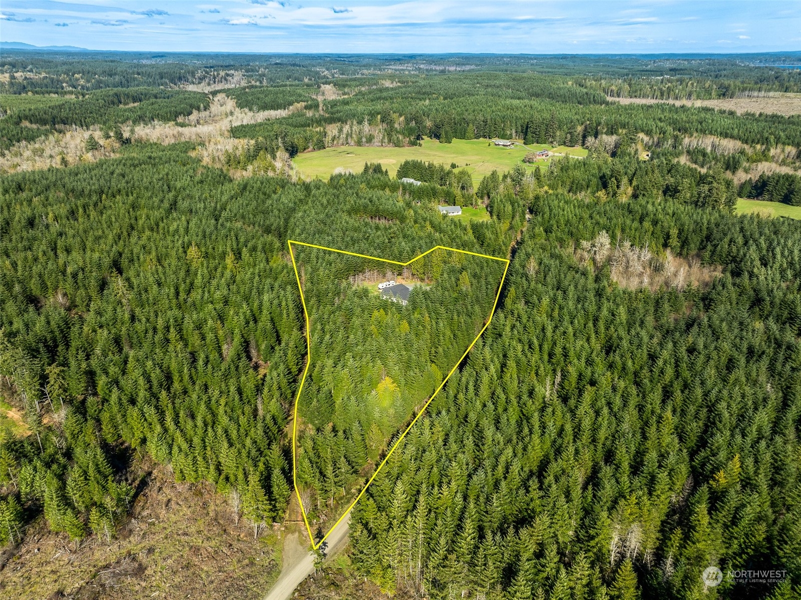 471 Southeast Ellis Road Shelton, WA 98584 - Photo 3 of 38 a view of a city with lush green forest