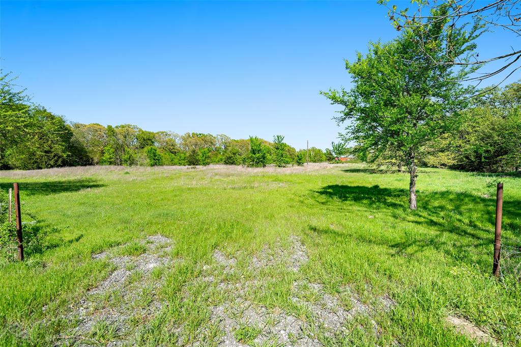 320 Fm 897 Telephone, TX 75488 - Photo 8 of 11 a view of grassy field with trees
