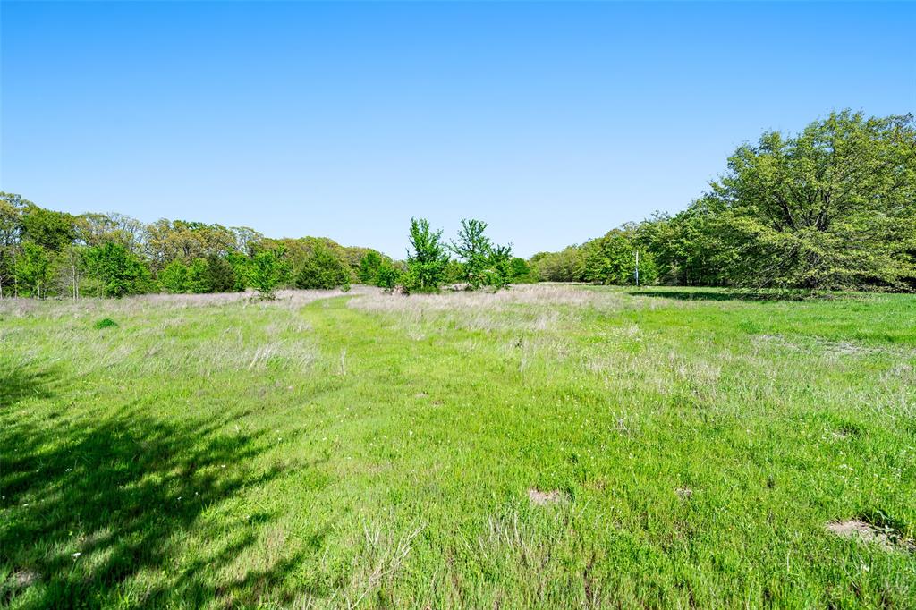 320 Fm 897 Telephone, TX 75488 - Photo 9 of 11 a view of yard with trees