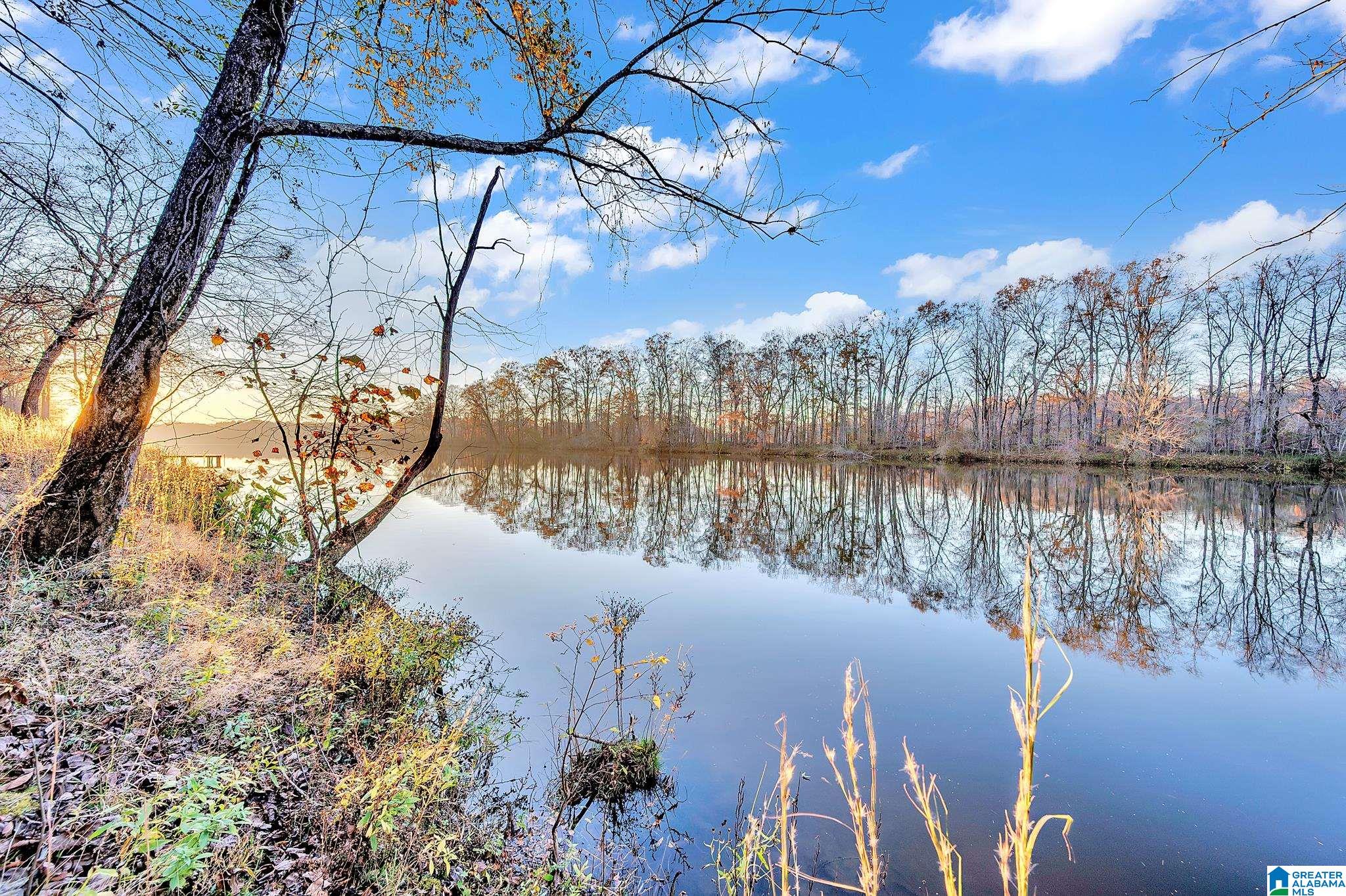 135 River Run Road Childersburg, AL 35044 - Photo 33 of 40