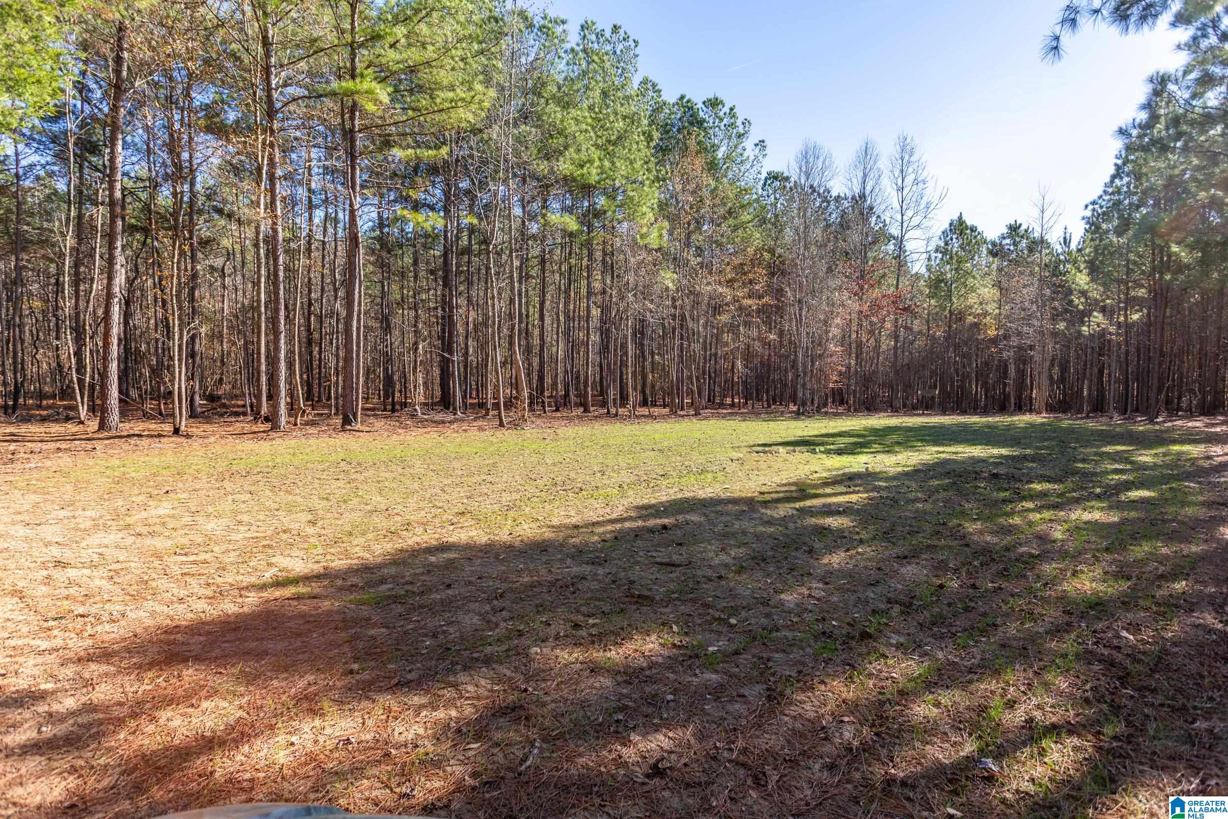 2162 Six Foot Road Ohatchee, AL 36271 - Photo 44 of 50