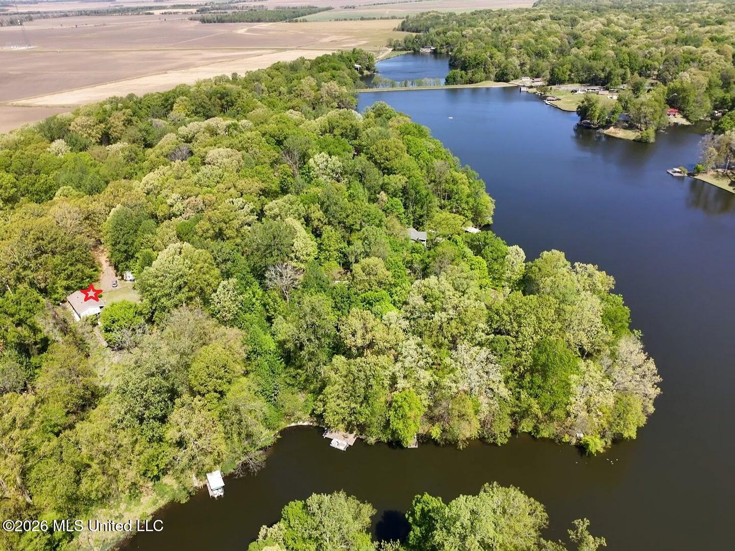 2830 Woodland Lake Road Hernando, MS 38632 - Photo 3 of 37 2830