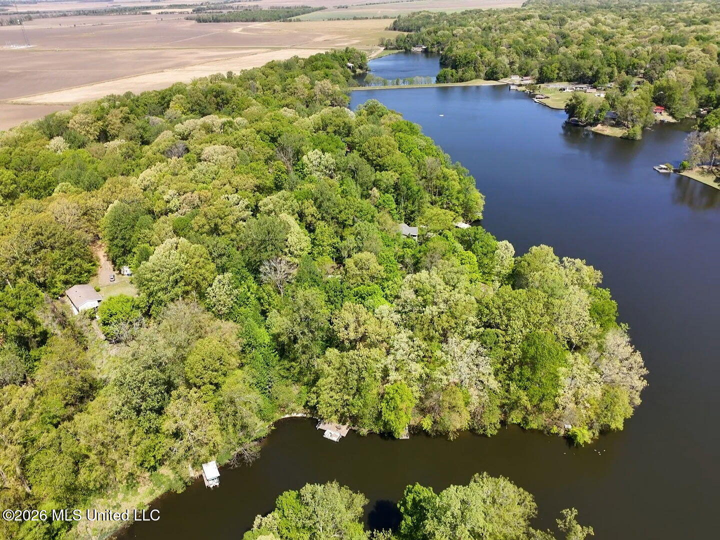 2830 Woodland Lake Road Hernando, MS 38632 - Photo 36 of 37 Looking West