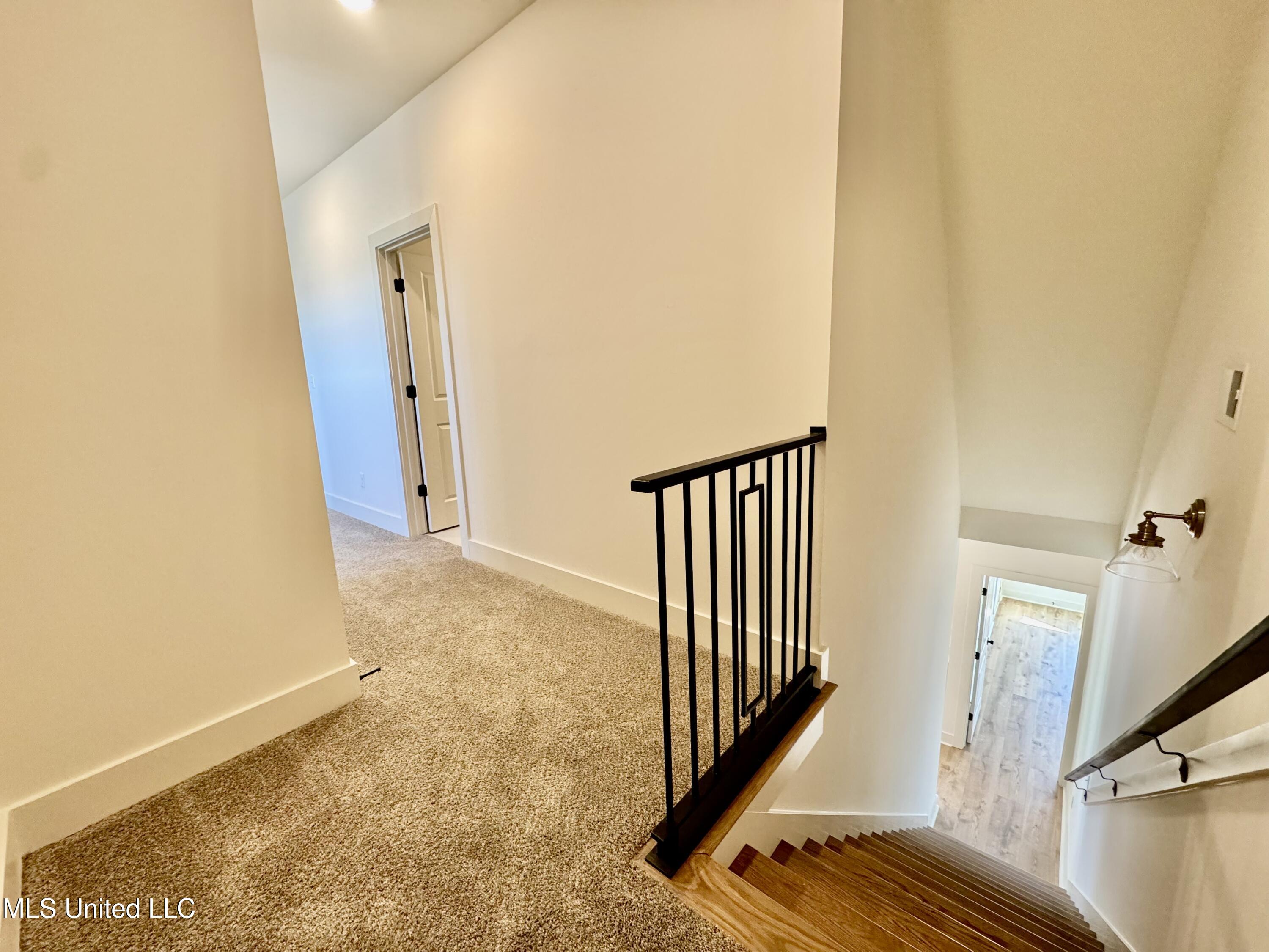 4220 Adriane Cove Nesbit, MS 38651 - Photo 23 of 31 IMG_4743