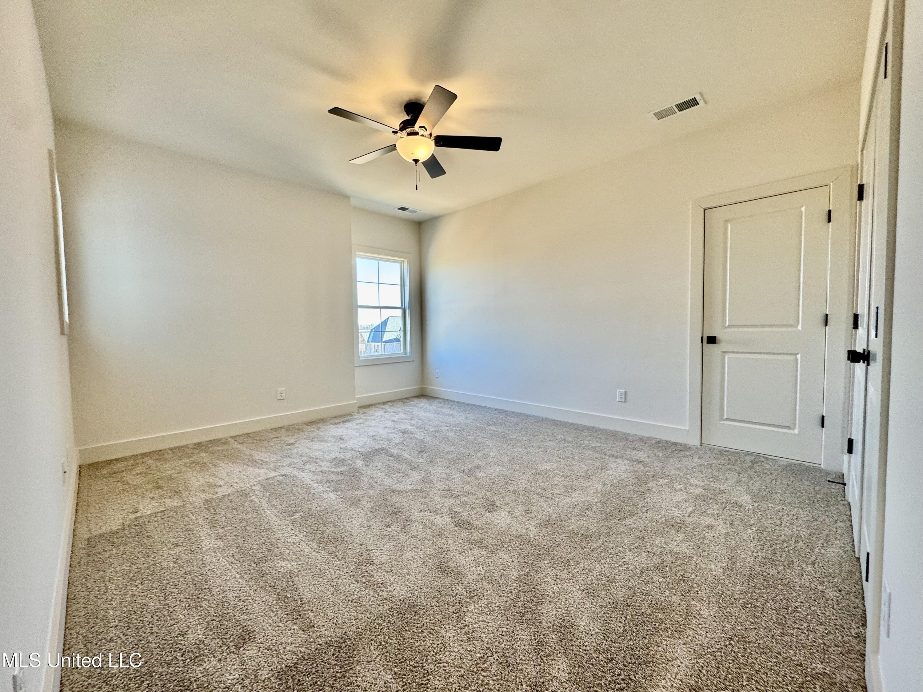 4220 Adriane Cove Nesbit, MS 38651 - Photo 27 of 31 IMG_4746