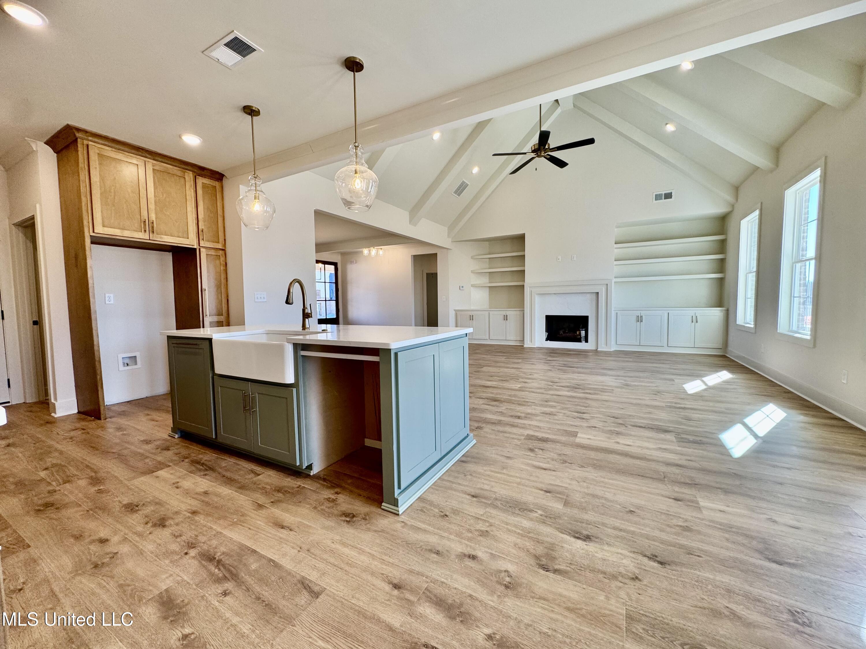 4220 Adriane Cove Nesbit, MS 38651 - Photo 10 of 31 IMG_4749