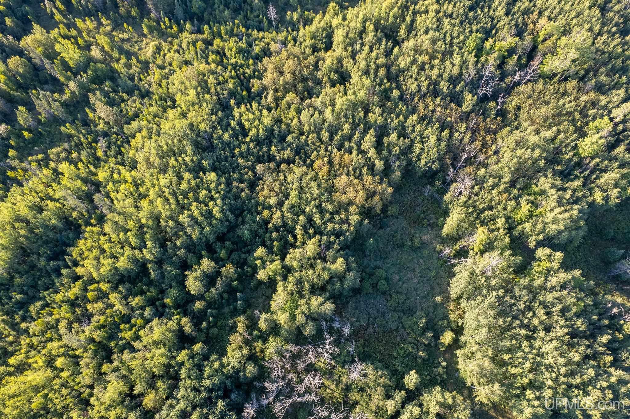 Tbd 19th Lane Escanaba, MI 49829 - Photo 6 of 16