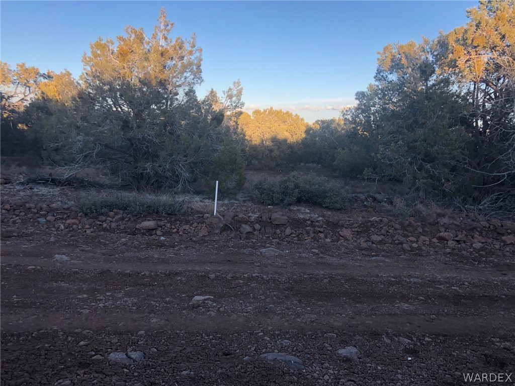 Lot 656 Edge Ridge Road Seligman, AZ 86337 - Photo 11 of 36 Gallery Image 11