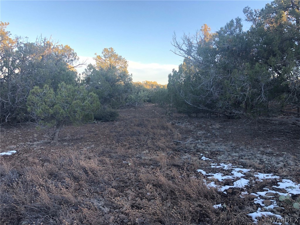 Lot 656 Edge Ridge Road Seligman, AZ 86337 - Photo 12 of 36 Gallery Image 12