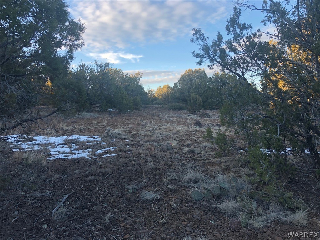 Lot 656 Edge Ridge Road Seligman, AZ 86337 - Photo 20 of 36 Gallery Image 20