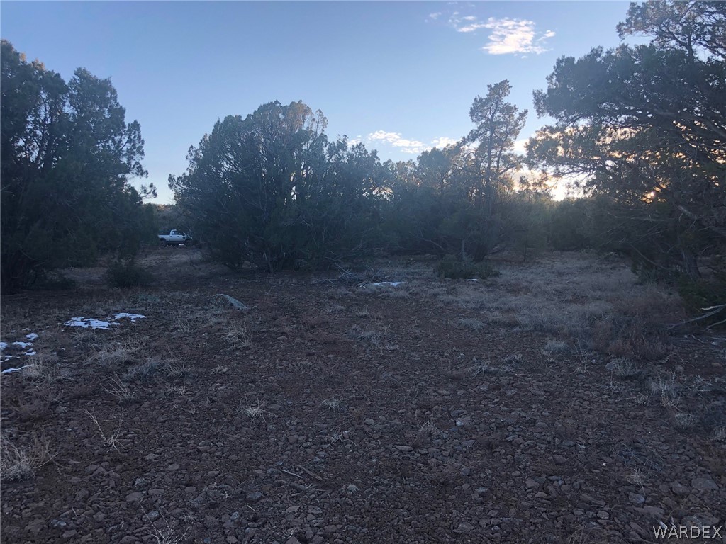 Lot 656 Edge Ridge Road Seligman, AZ 86337 - Photo 21 of 36 Gallery Image 21