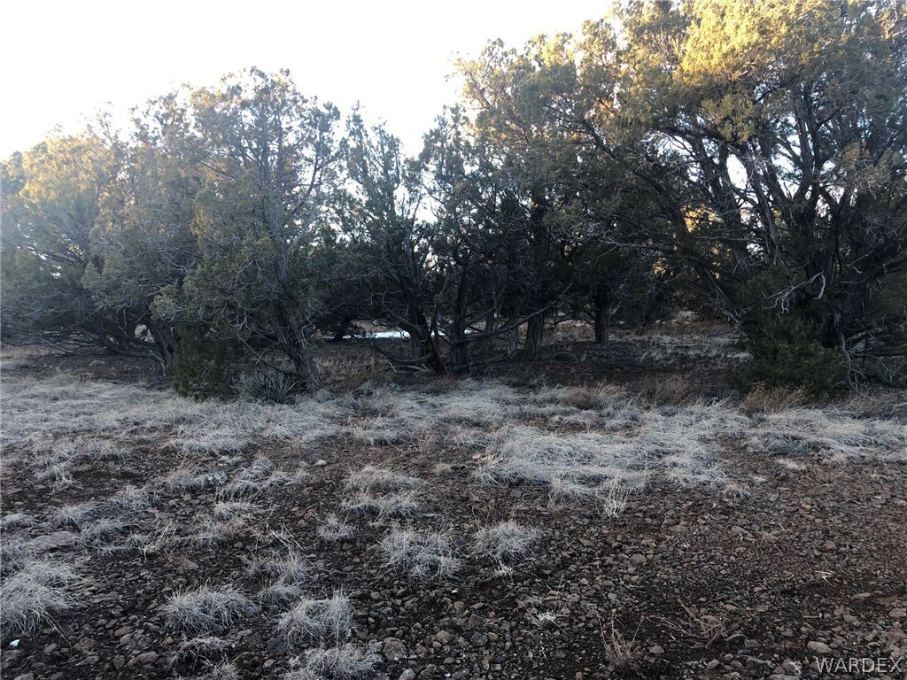 Lot 656 Edge Ridge Road Seligman, AZ 86337 - Photo 24 of 36 Gallery Image 24