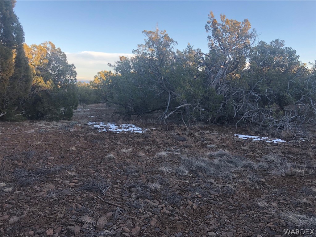Lot 656 Edge Ridge Road Seligman, AZ 86337 - Photo 25 of 36 Gallery Image 25