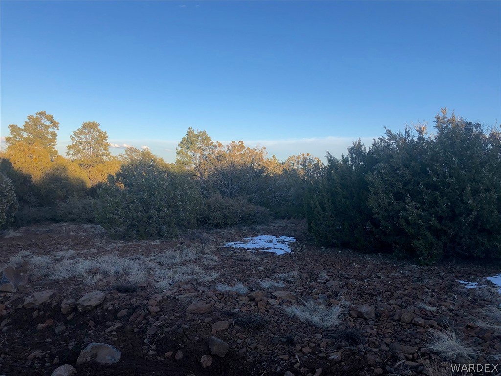 Lot 656 Edge Ridge Road Seligman, AZ 86337 - Photo 26 of 36 Gallery Image 26