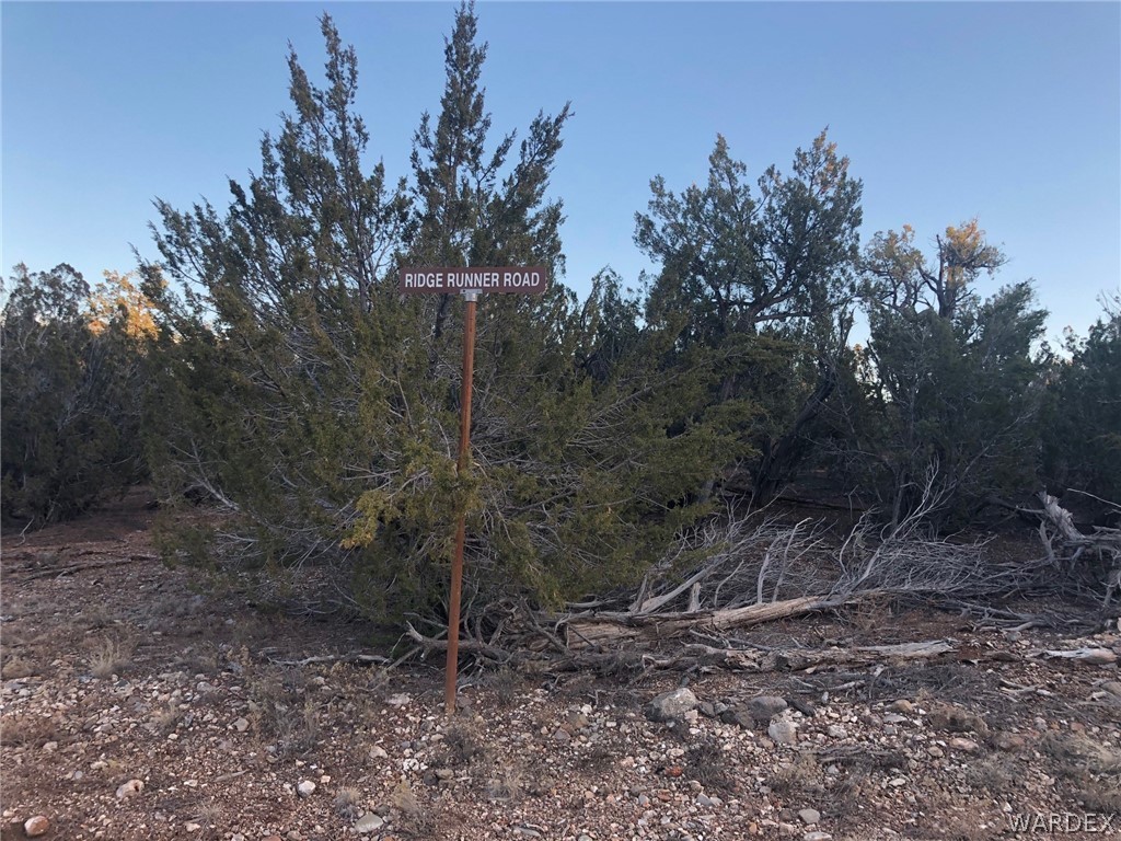 Lot 656 Edge Ridge Road Seligman, AZ 86337 - Photo 33 of 36 Gallery Image 33