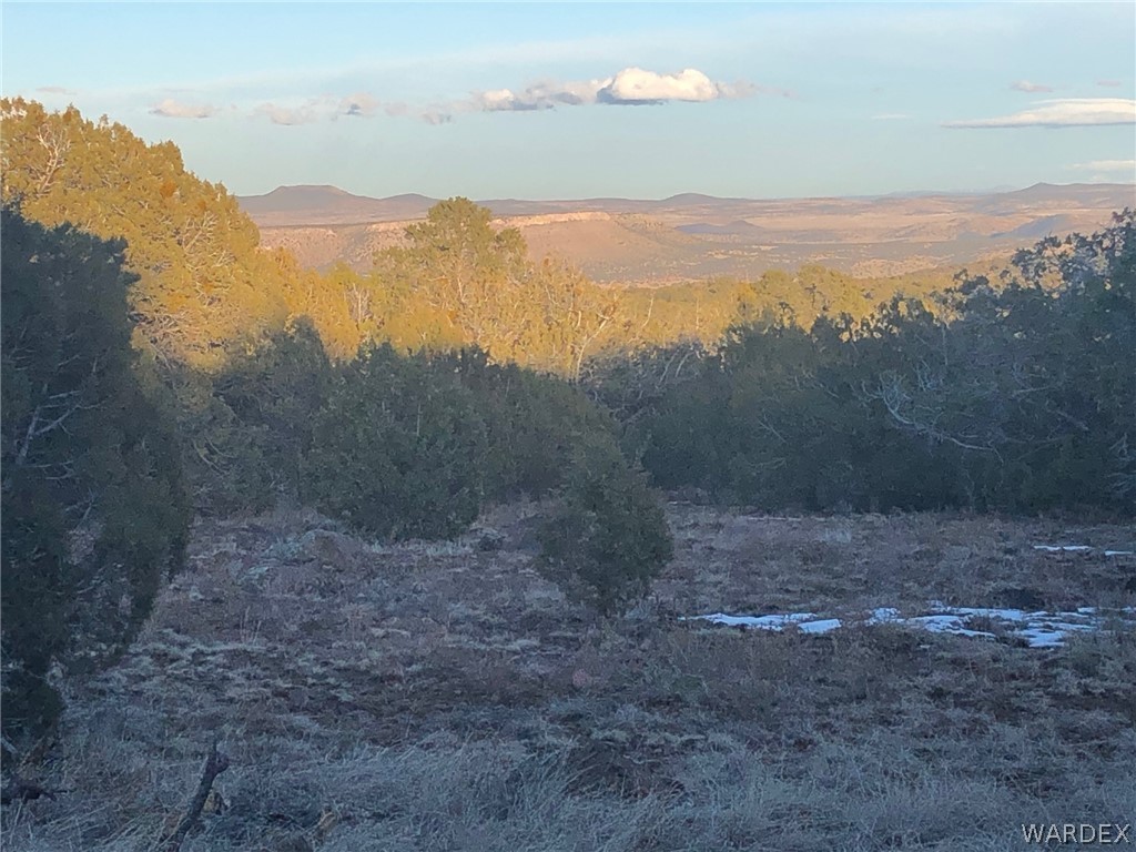 Lot 656 Edge Ridge Road Seligman, AZ 86337 - Photo 5 of 36 Gallery Image 5