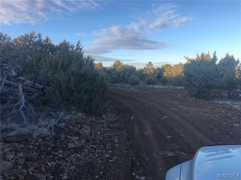 Lot 656 Edge Ridge Road Seligman, AZ 86337 - Photo 6 of 36 Gallery Image 6