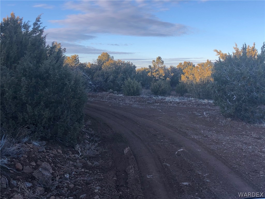 Lot 656 Edge Ridge Road Seligman, AZ 86337 - Photo 7 of 36 Gallery Image 7