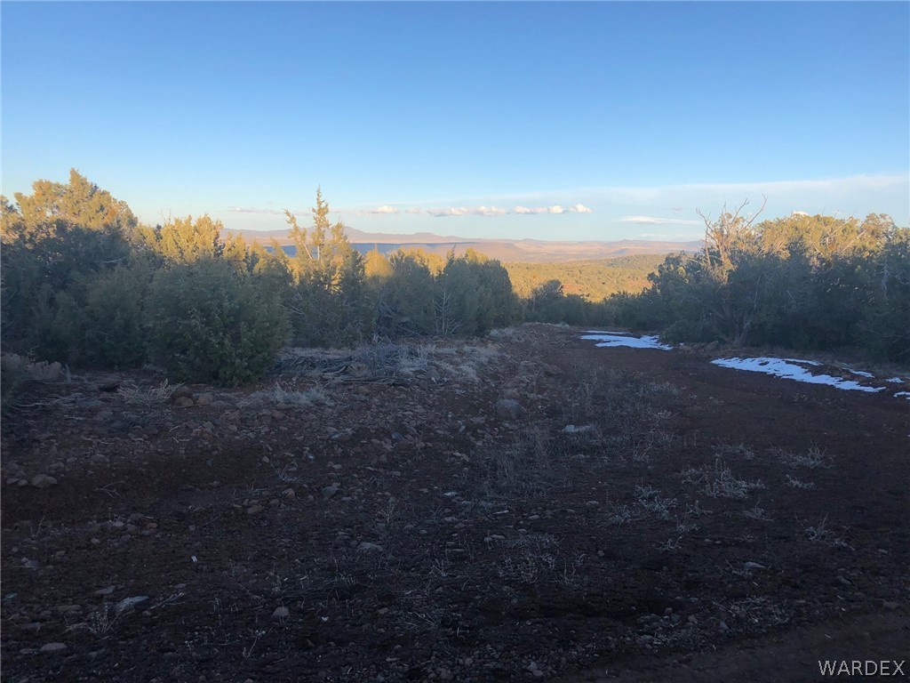 Lot 656 Edge Ridge Road Seligman, AZ 86337 - Photo 8 of 36 Gallery Image 8