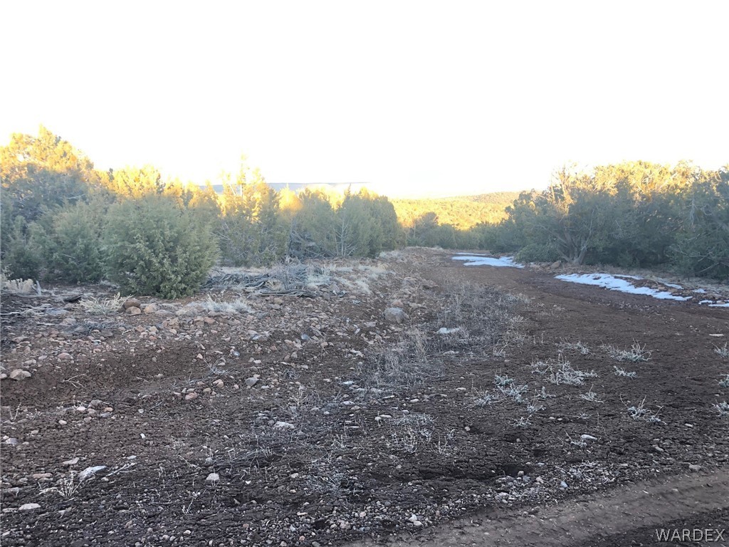 Lot 656 Edge Ridge Road Seligman, AZ 86337 - Photo 9 of 36 Gallery Image 9