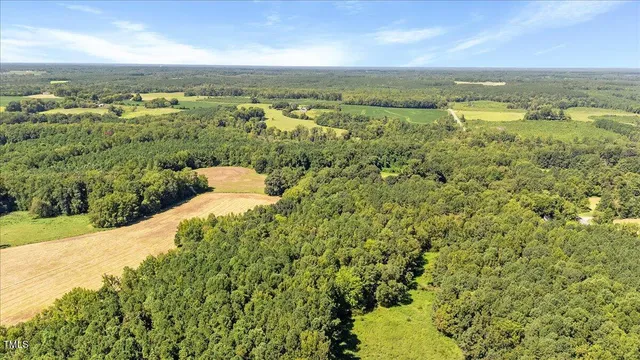 an aerial view of residential houses with outdoor space and trees