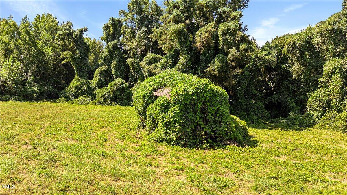 237 Martin Road Norlina, NC 27563 - Photo 2 of 18 01-finished Martin Rd (17 of 18)