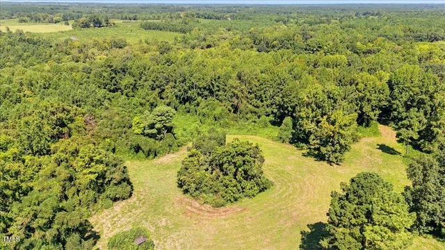 a view of a yard with a tree