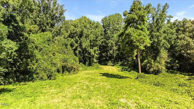 a view of a yard with a trees