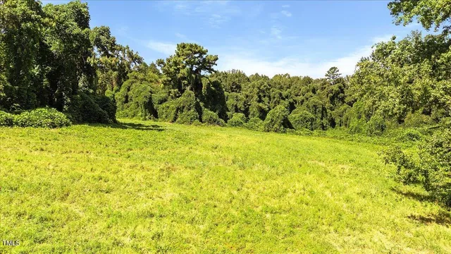a view of a yard with a trees