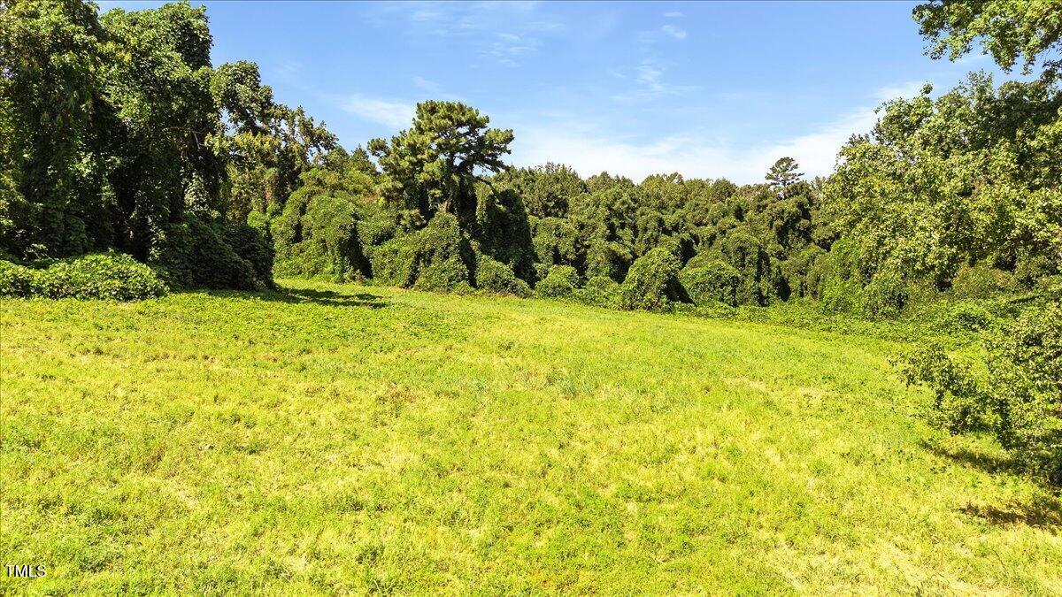 237 Martin Road Norlina, NC 27563 - Photo 5 of 18 04-finished Martin Rd (16 of 18)