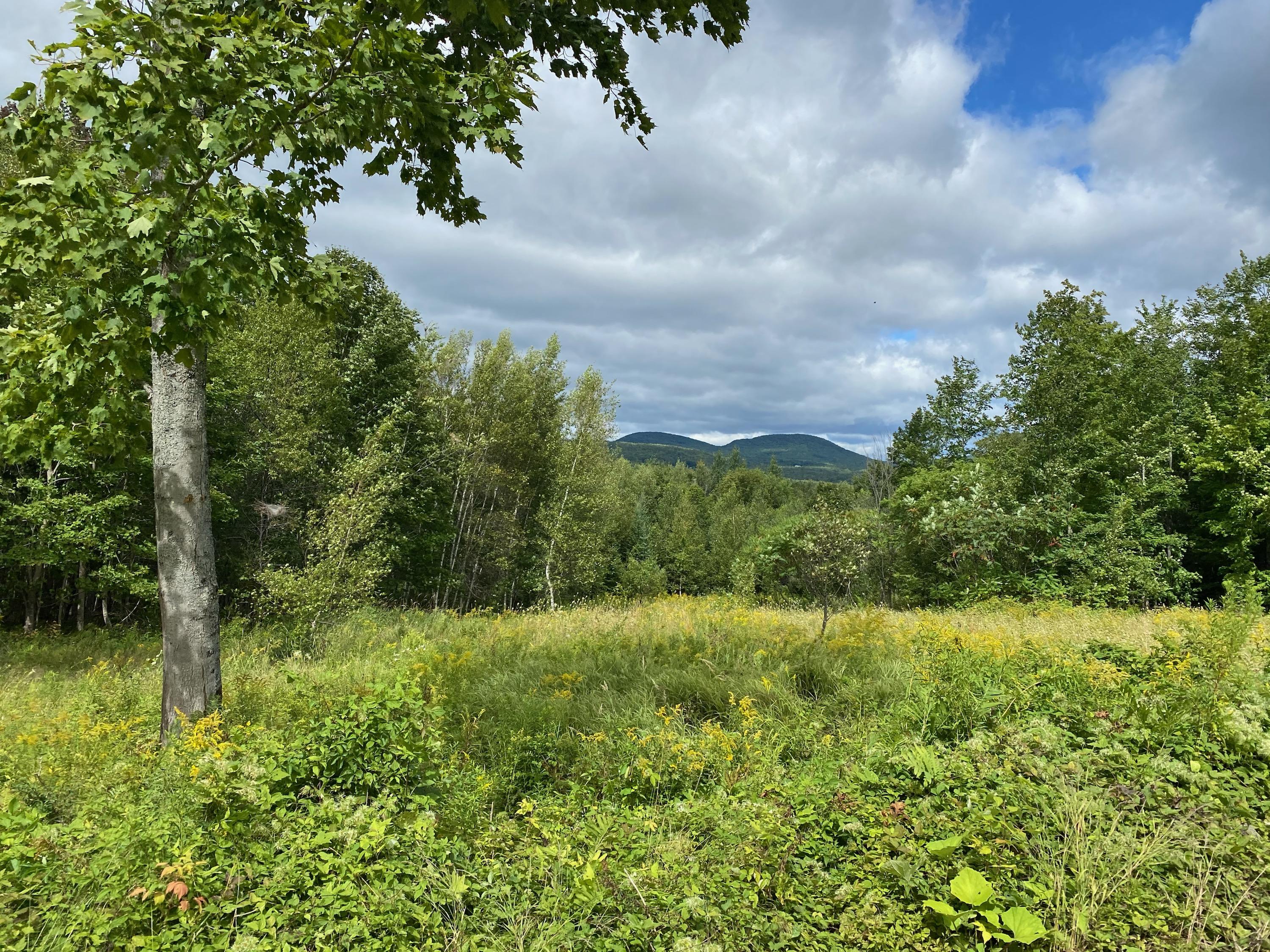 182-188 Music Road Farmington, ME 04938 - Photo 1 of 7 Photo Sep 04, 12 03 58 PM
