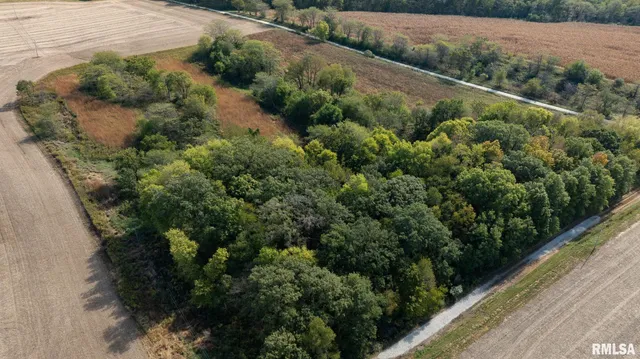 $1,147,500 | 2200 East 2800 Avenue, Galva, IL 61434