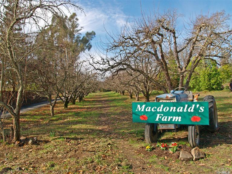 5730 Ross Branch Road Sebastopol, CA 95472 - Photo 1 of 1 a green field with big trees