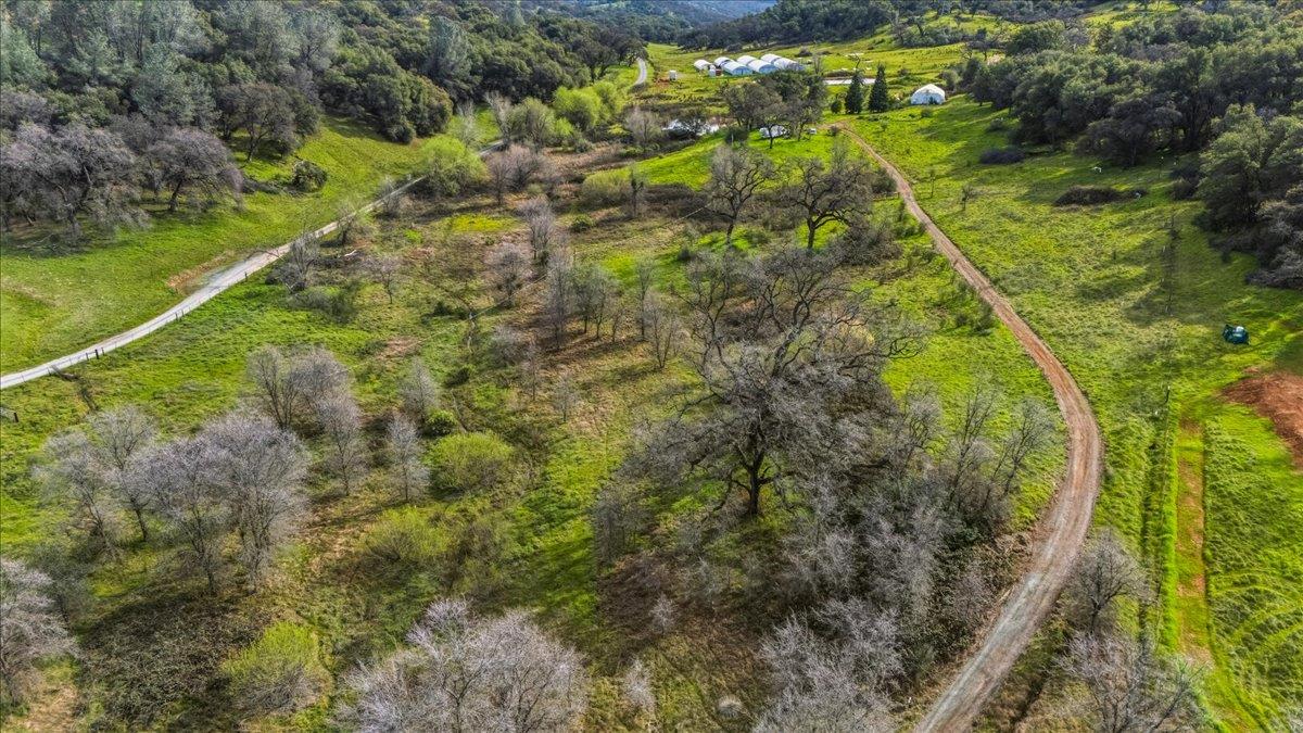 22545 Perimeter Road Grass Valley, CA 95949 - Photo 13 of 31 a view of a yard