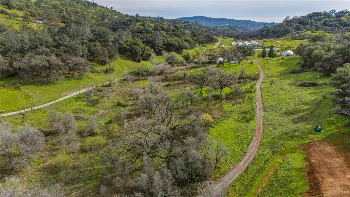 22545 Perimeter Road Grass Valley, CA 95949 - Photo 14 of 31 a view of a forest with a lake
