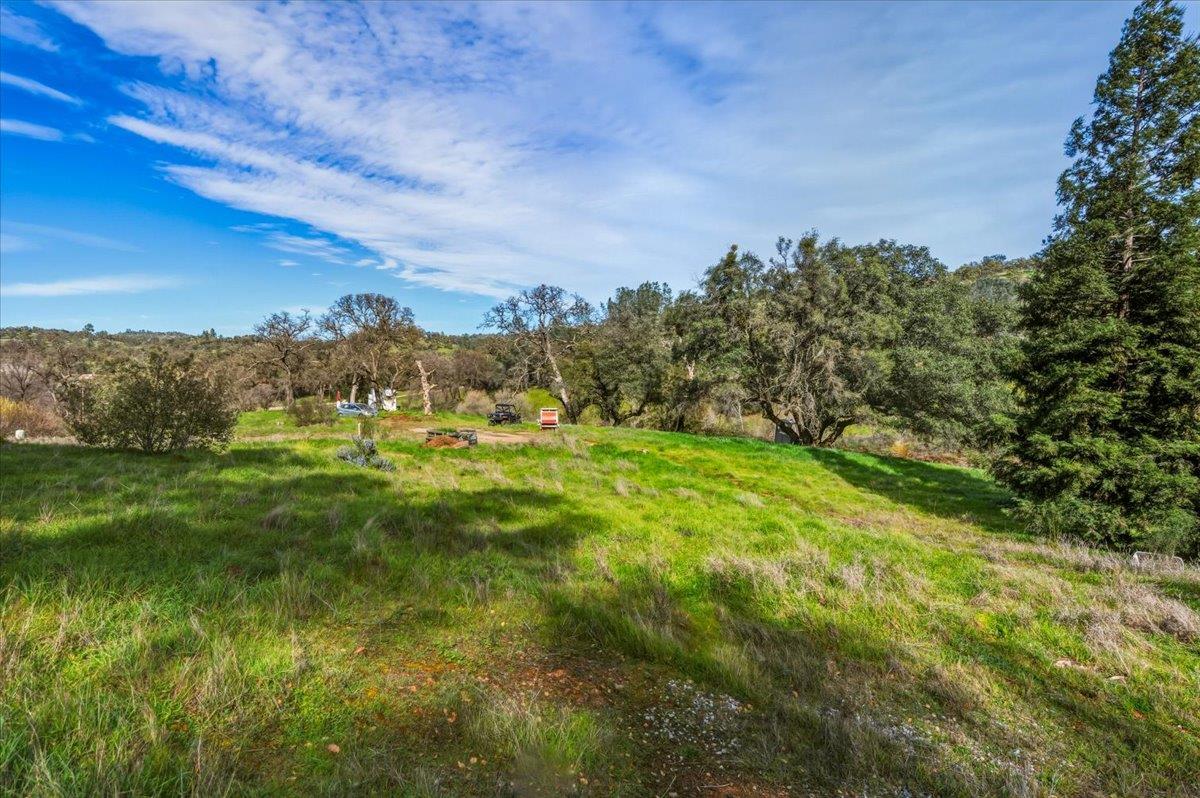 22545 Perimeter Road Grass Valley, CA 95949 - Photo 19 of 31 a view of a big yard with large trees