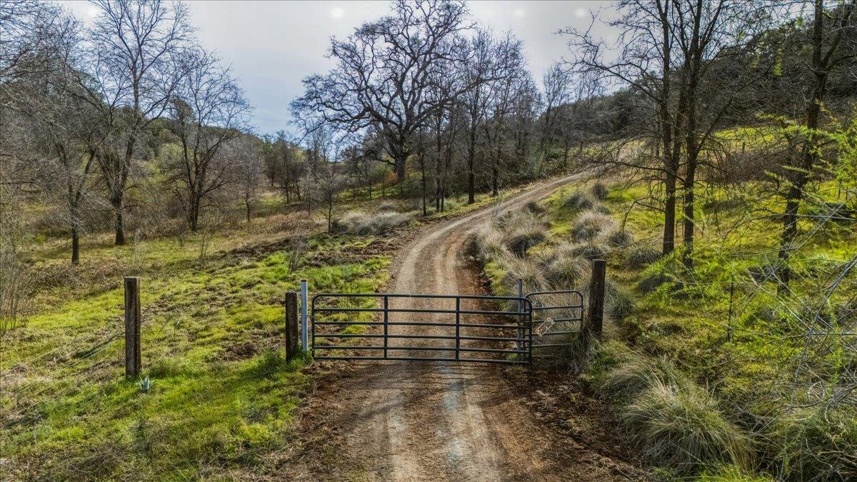 22545 Perimeter Road Grass Valley, CA 95949 - Photo 2 of 31 a view of a yard with plants and trees