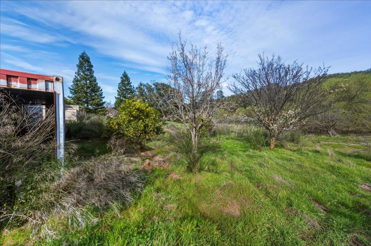 22545 Perimeter Road Grass Valley, CA 95949 - Photo 21 of 31 a view of a yard