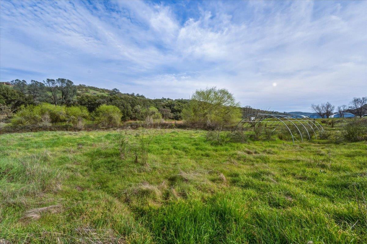 22545 Perimeter Road Grass Valley, CA 95949 - Photo 22 of 31 a view of a green field