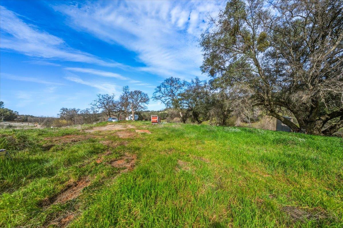 22545 Perimeter Road Grass Valley, CA 95949 - Photo 23 of 31 a view of field with trees in background