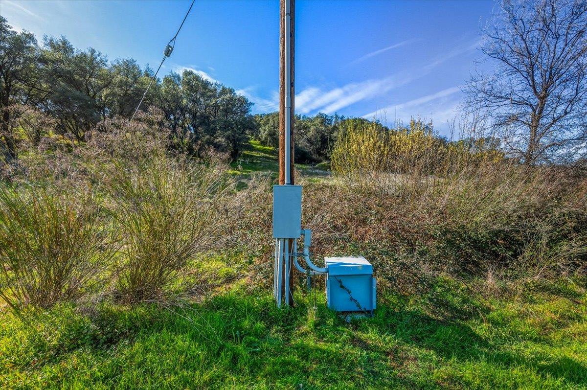 22545 Perimeter Road Grass Valley, CA 95949 - Photo 28 of 31 a view of a garden with a tree
