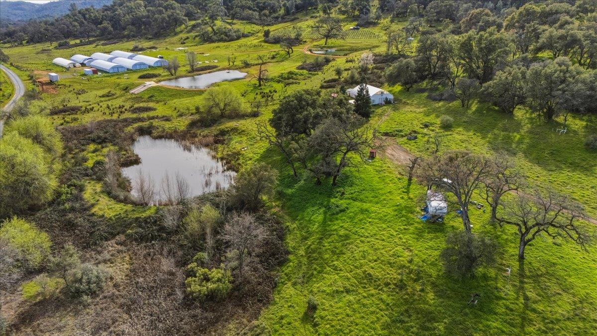 22545 Perimeter Road Grass Valley, CA 95949 - Photo 5 of 31 a picture of flowers